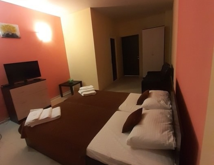 2-местное станд. - Гостиница «Цитрус» Гагра