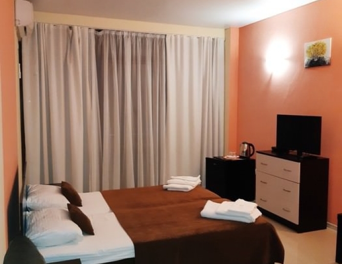 2-местное станд. - Гостиница «Цитрус» Гагра