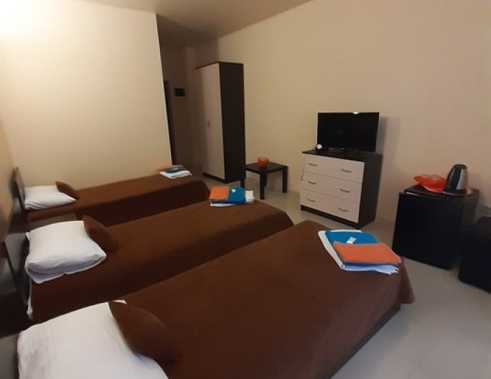 3-мест. станд. - Гостиница «Цитрус» Гагра